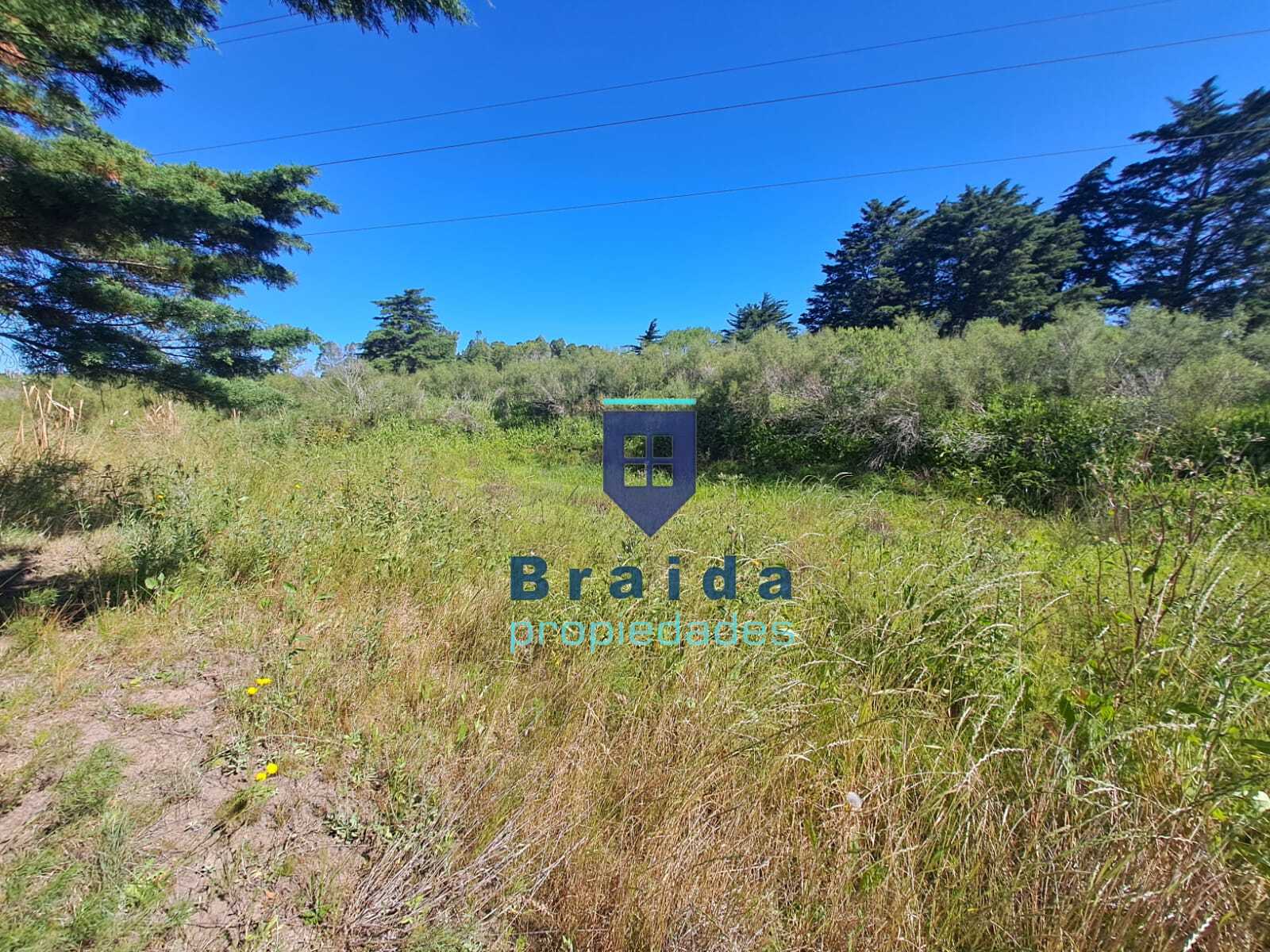 Gran campo en Soca en dos padrones