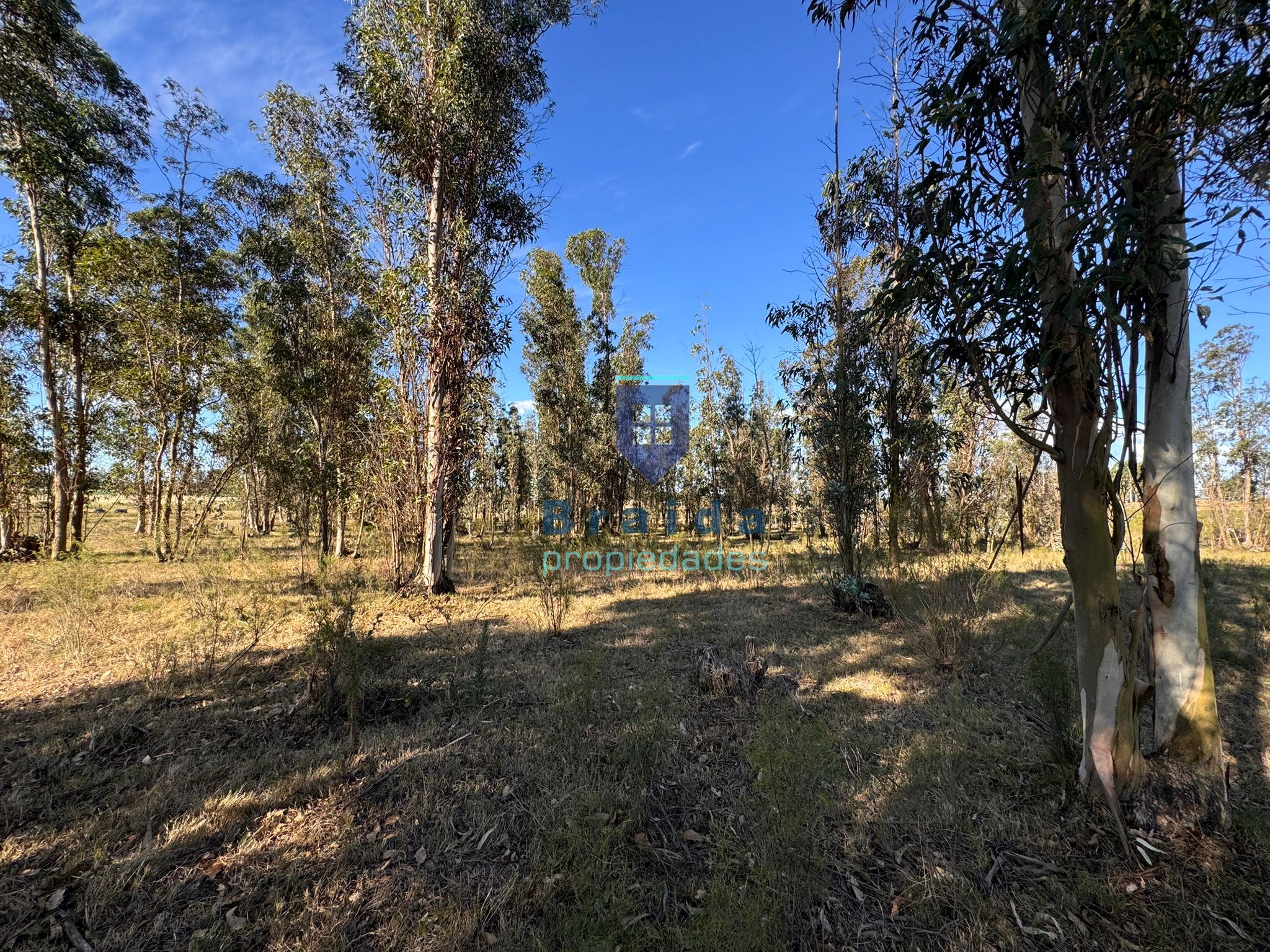 Campo de 11 hectáreas en km 49
