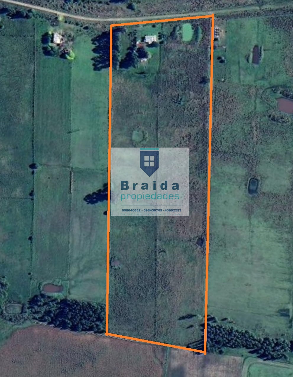 Campo de 7 has con casa próximo a San Jacinto