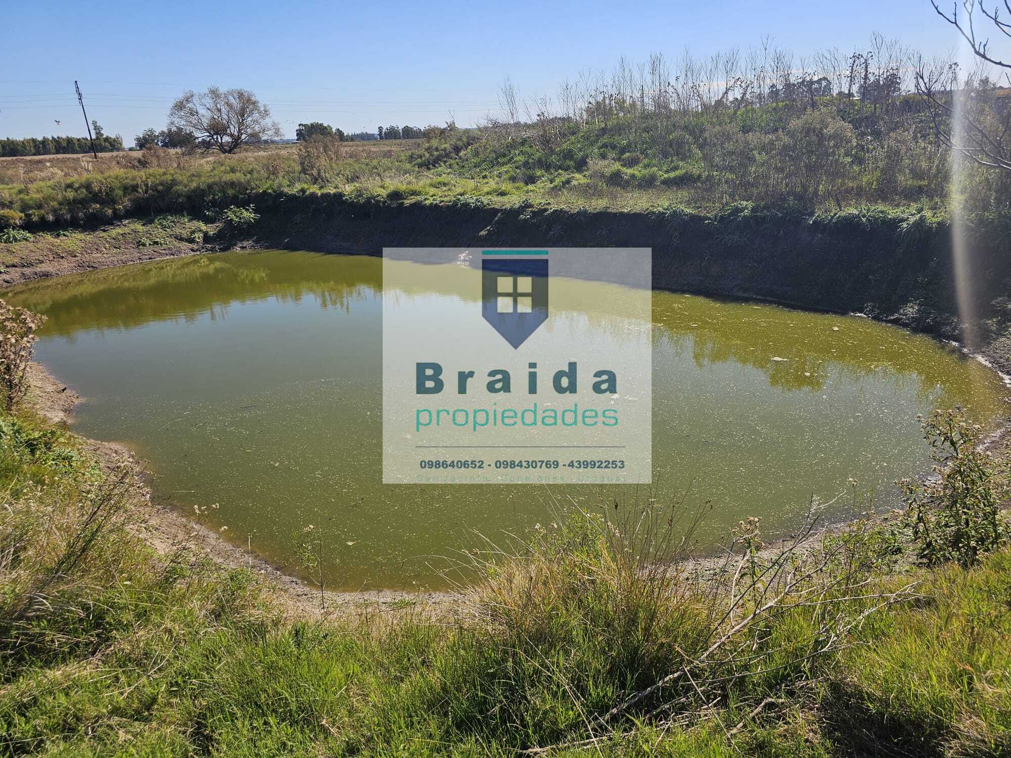 Campo de 7 has con casa próximo a San Jacinto