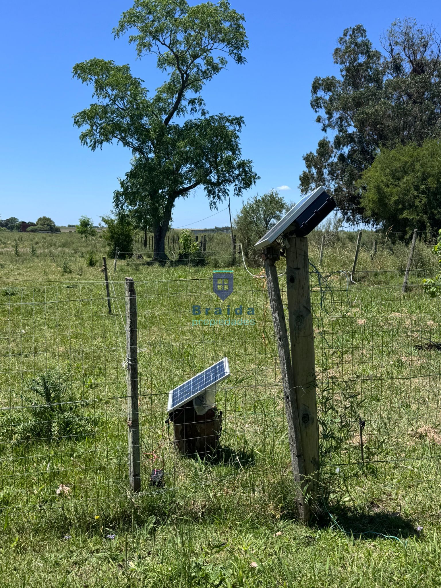 Hermosa chacra de 4.8has y casa de 3 dormitorios