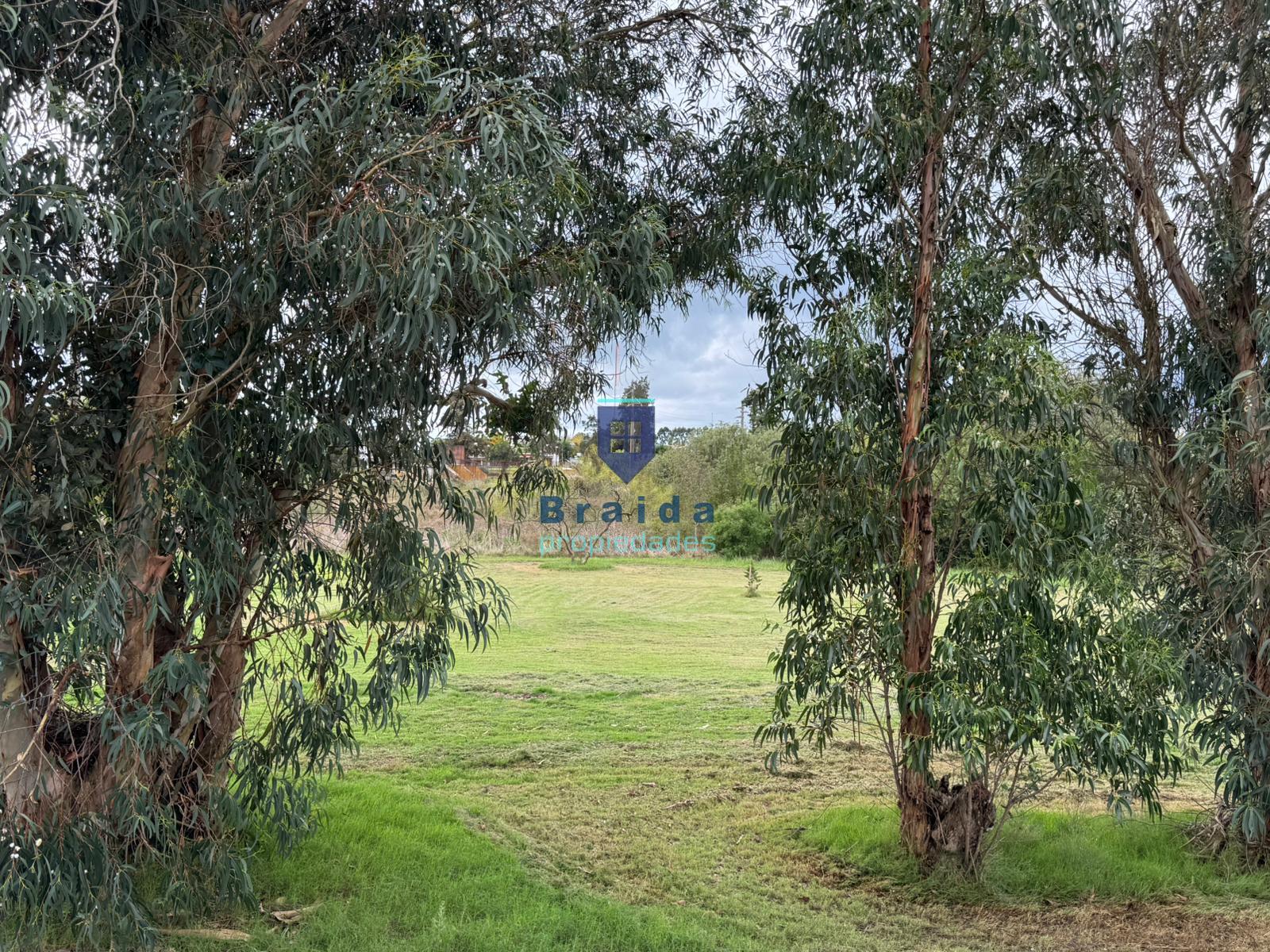 Gran vivienda de dos dormitorios semi amoblada