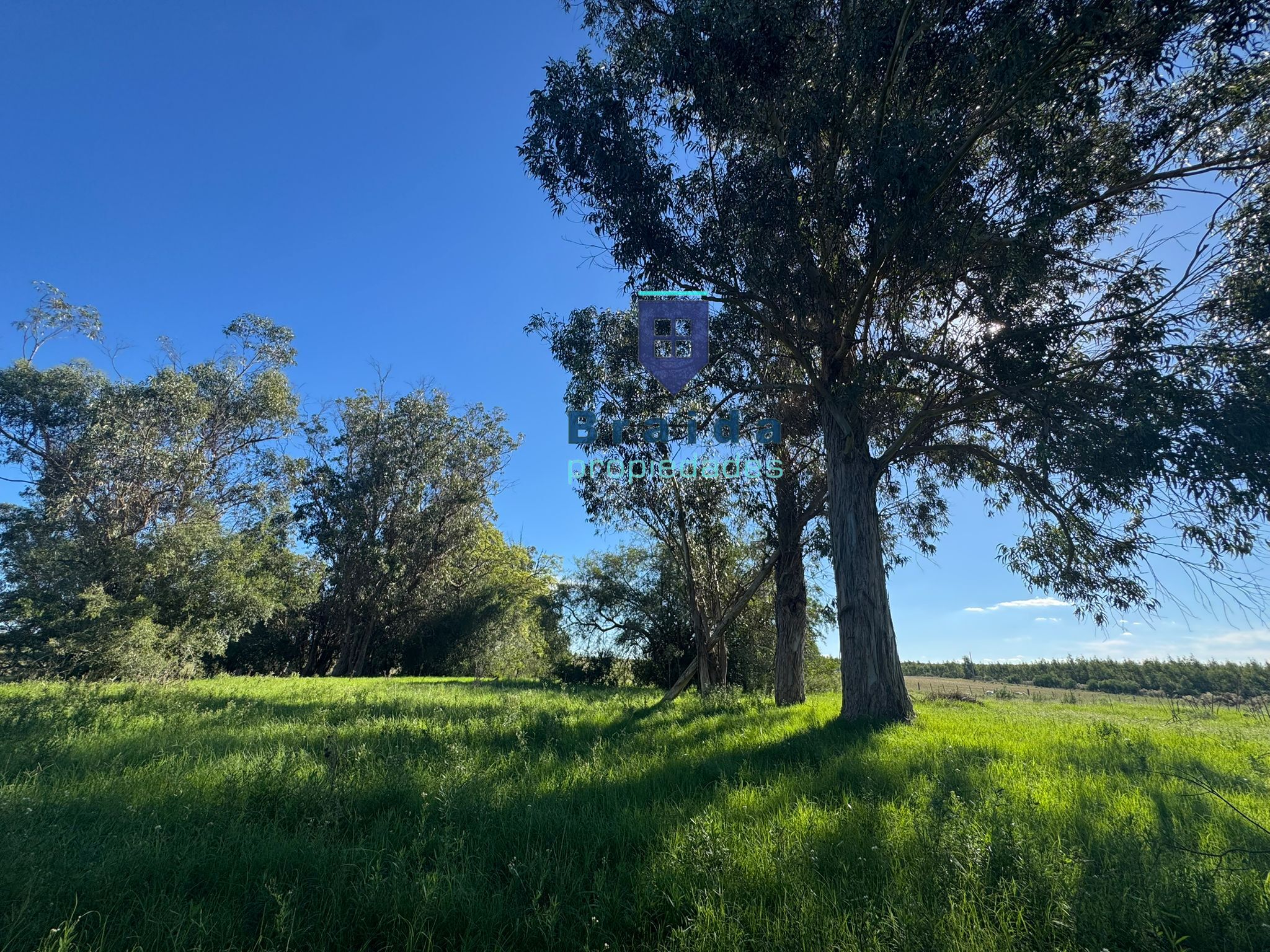 Chacra de 3,5 has con casa en San Jacinto
