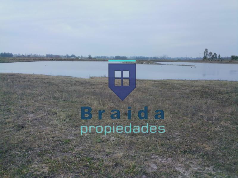 Campo de 31,2 has sobre 3 padrones