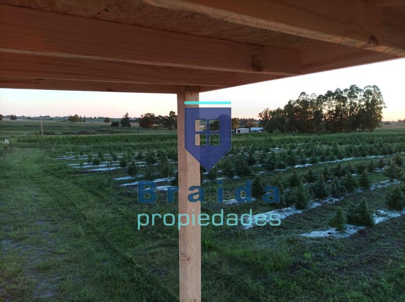 Campo de 31,2 has sobre 3 padrones