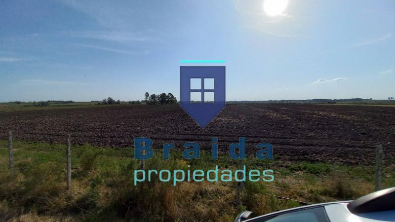 Campo de 31,2 has sobre 3 padrones