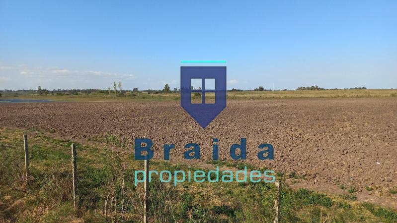 Campo de 31,2 has sobre 3 padrones