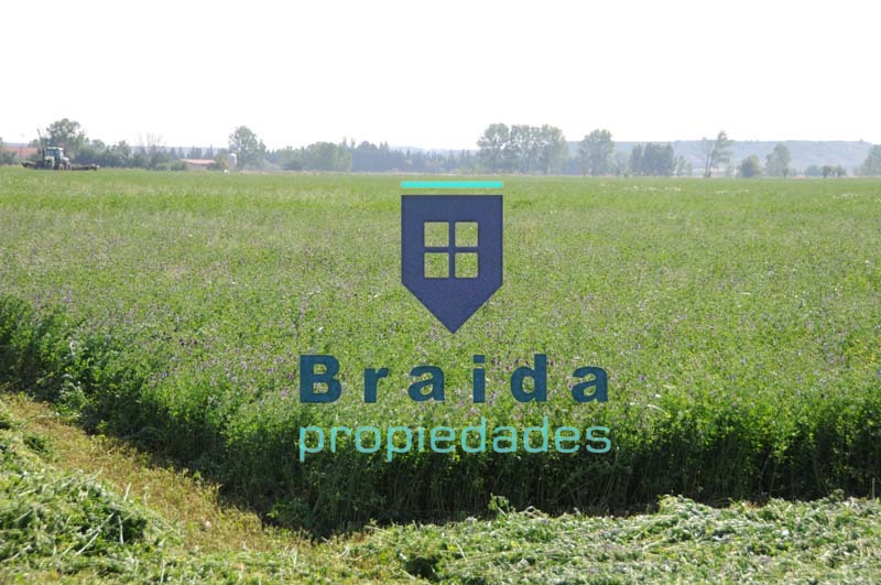 Campo de 31,2 has sobre 3 padrones