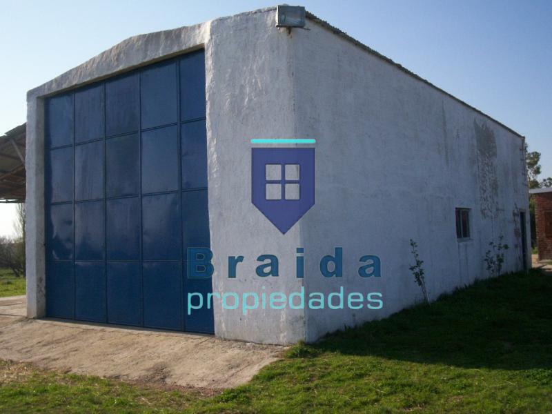 Campo de 31,2 has sobre 3 padrones