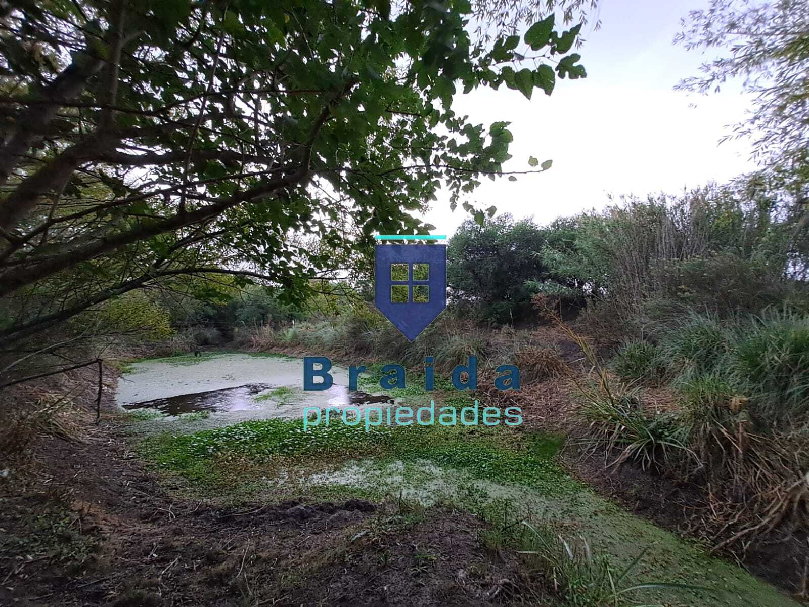 Gran propiedad con 7has de campo 