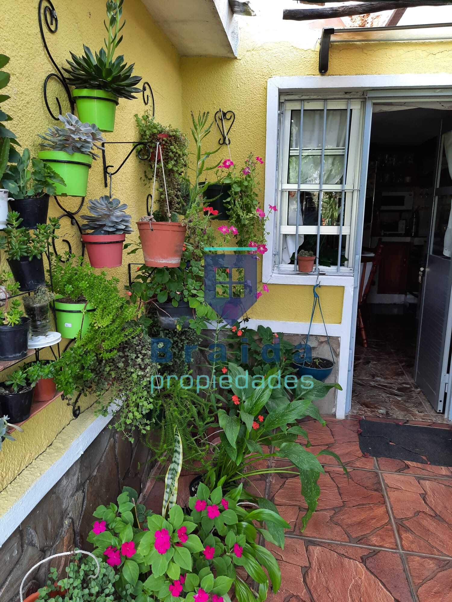 Hermosa vivienda con parque y 1 hectárea 