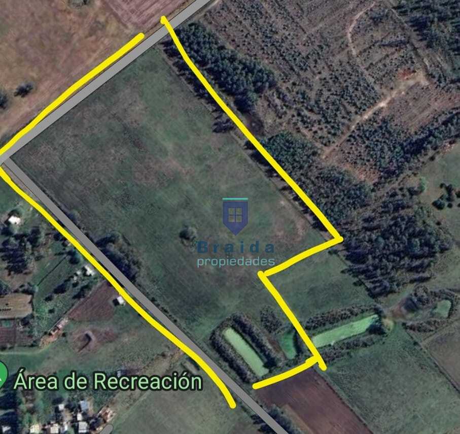 Campo de 6 hectáreas en Estación de Pedrera