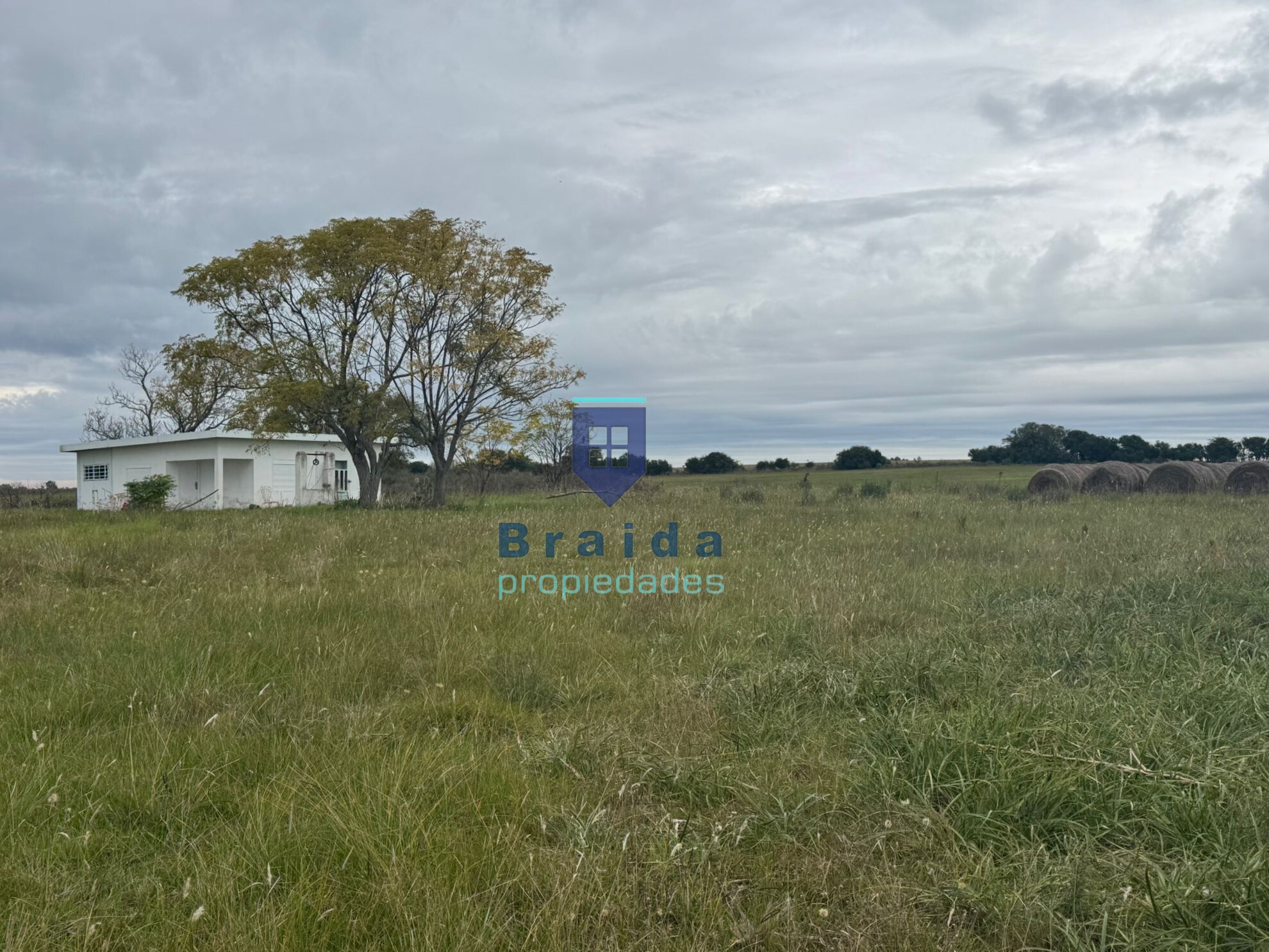 Gran vivienda en el medio rural con 7 has