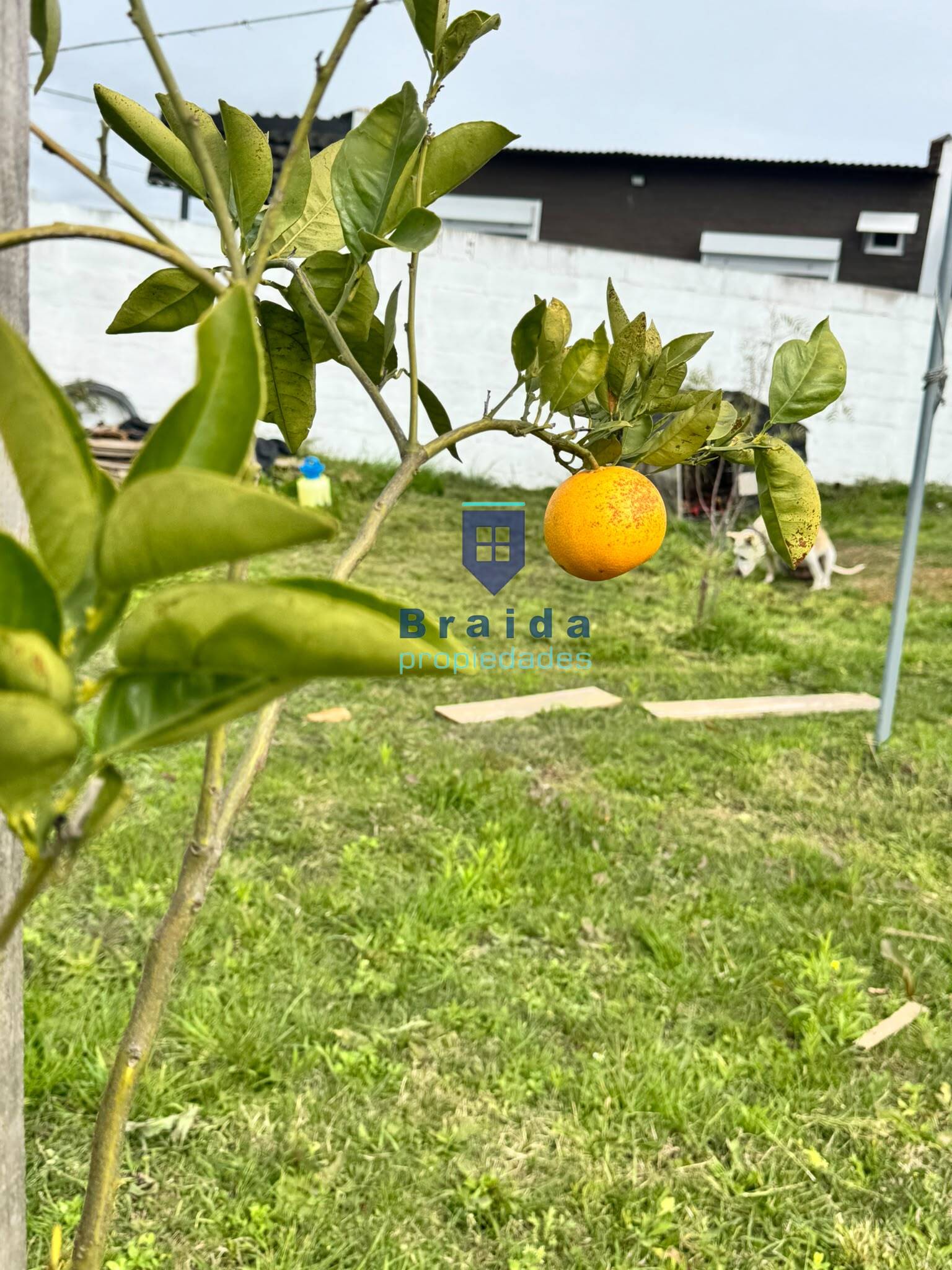 Hermosa vivienda en zona surgente de San Jacinto